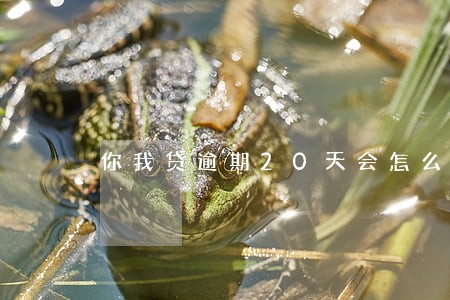 你我贷逾期20天会怎么样 你我贷逾期20天会怎么样