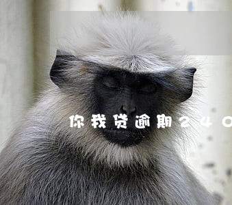 你我贷逾期2400元会上门 你我贷逾期2400元会上门