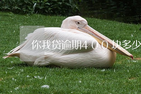 你我贷逾期400块多少利息