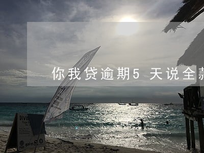 你我贷逾期5天说全款还 你我贷逾期5天说全款还