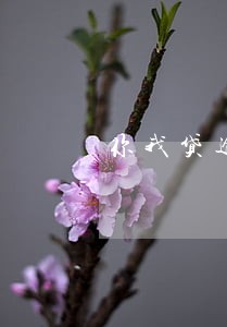 你我贷逾期700利息多少 你我贷逾期700利息多少