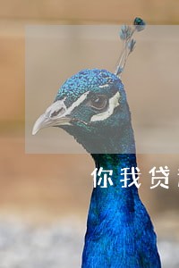 你我贷逾期两年了借了6000元