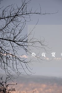 你我贷逾期会上芝麻信用 你我贷逾期会上芝麻信用