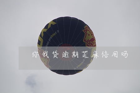 你我贷逾期芝麻信用吗 你我贷逾期芝麻信用吗