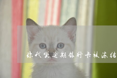 你我贷逾期银行卡被冻结 你我贷逾期银行卡被冻结