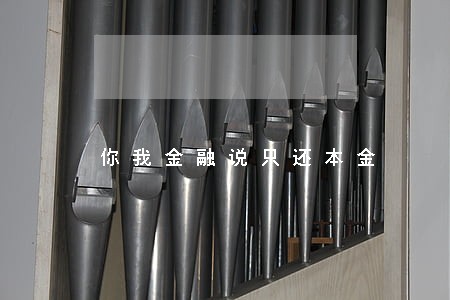 你我金融说只还本金