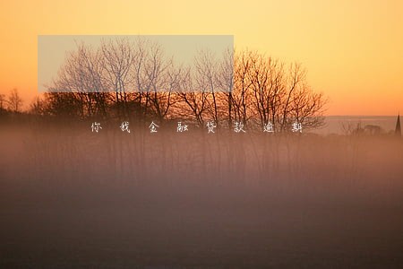 你我金融贷款逾期