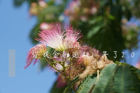 你我金融逾期1年了2018 你我金融逾期1年了2018