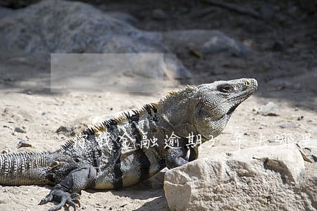 你我金融逾期3年去哪里还款