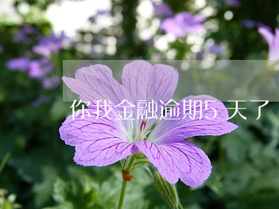 你我金融逾期5天了 你我金融逾期5天了