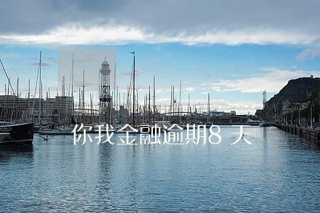 你我金融逾期8天 你我金融逾期8天