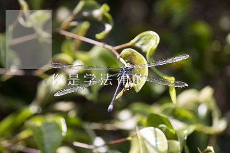 你是学法律的