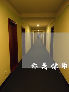 你是律师的英文翻译 你是律师的英文翻译