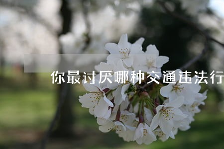 你最讨厌哪种交通违法行为 你最讨厌哪种交通违法行为