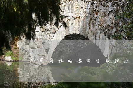 你用国旗的姿势可能违法 你用国旗的姿势可能违法