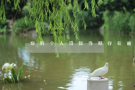 你的个人贷款当期存在逾期