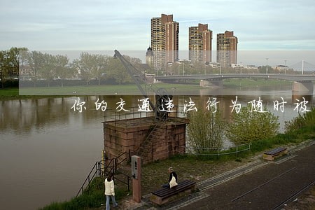 你的交通违法行为随时被举报 你的交通违法行为随时被举报