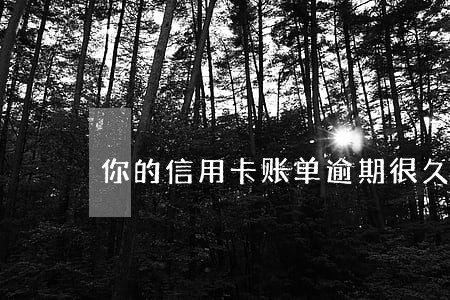 你的信用卡账单逾期很久了 你的信用卡账单逾期很久了