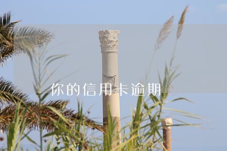 你的信用卡逾期 你的信用卡逾期