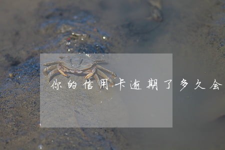 你的信用卡逾期了多久会立案