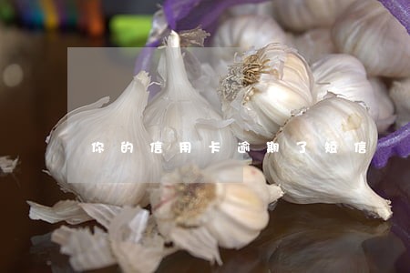 你的信用卡逾期了短信 你的信用卡逾期了短信