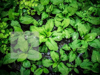 你的公积金贷款已逾期 你的公积金贷款已逾期