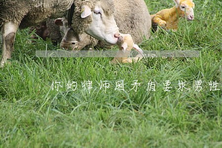 你的律师因矛盾要求男性离婚 你的律师因矛盾要求男性离婚