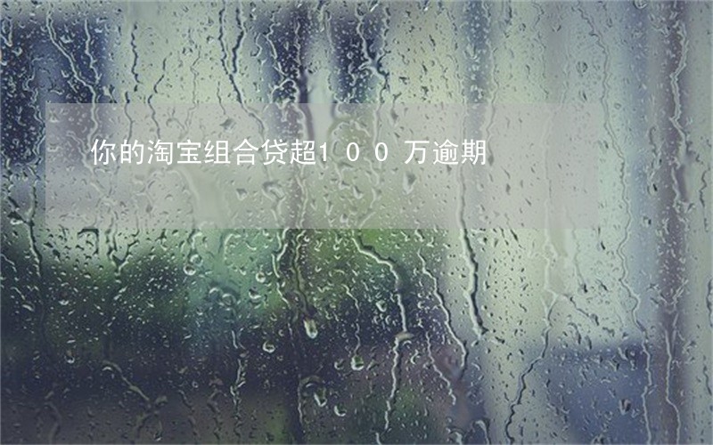 你的淘宝组合贷超100万逾期 你的淘宝组合贷超100万逾期