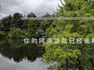你的网商贷款已经逾期 你的网商贷款已经逾期