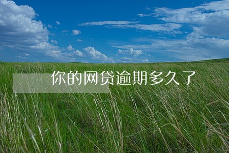 你的网贷逾期多久了 你的网贷逾期多久了