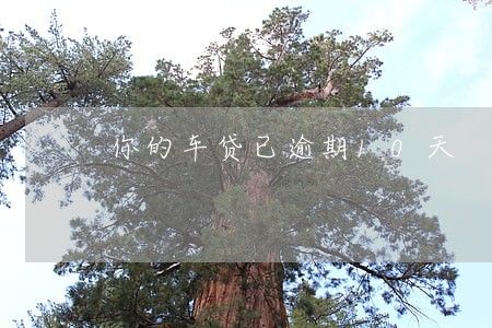 你的车贷已逾期10天 你的车贷已逾期10天
