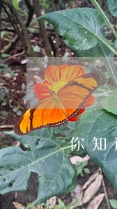 你知道去哪里找律师 你知道去哪里找律师
