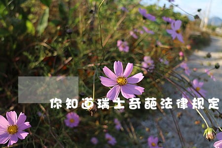 你知道瑞士奇葩法律规定吗