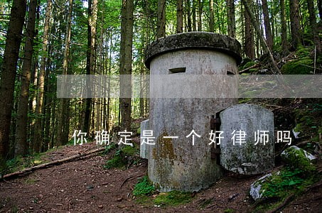 你确定是一个好律师吗 你确定是一个好律师吗