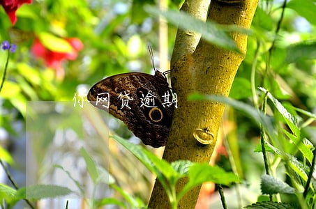 你网贷逾期 你网贷逾期