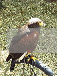 你能找出多少种交通违法行为 你能找出多少种交通违法行为
