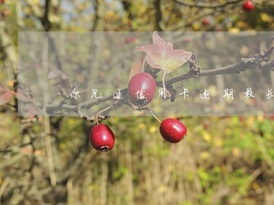 你见过信用卡逾期最长时间 你见过信用卡逾期最长时间
