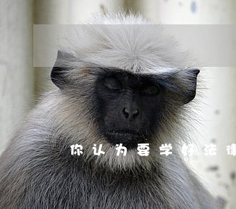 你认为要学好法律