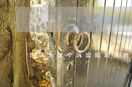 你认为这个诉讼能起诉他们吗