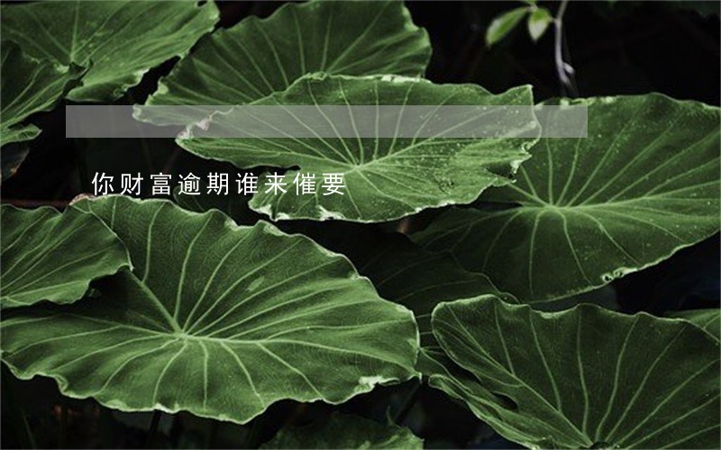 你财富逾期谁来催要