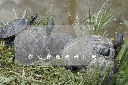 你还在违法骑行吗