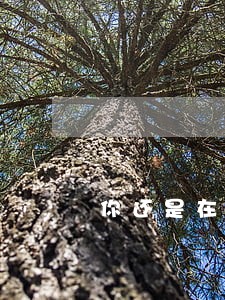 你还是在违法的边缘试探 你还是在违法的边缘试探