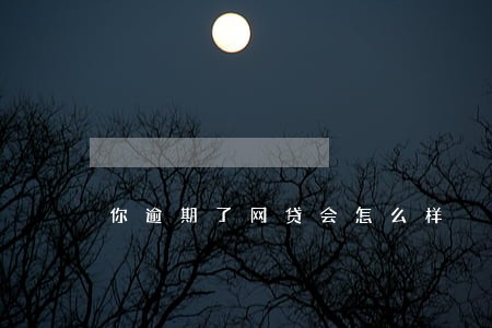 你逾期了网贷会怎么样