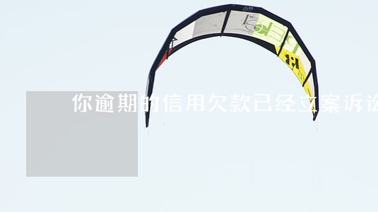 你逾期的信用欠款已经立案诉讼 你逾期的信用欠款已经立案诉讼