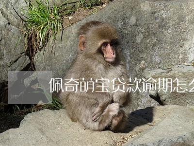 佩奇萌宝贷款逾期怎么办 佩奇萌宝贷款逾期怎么办