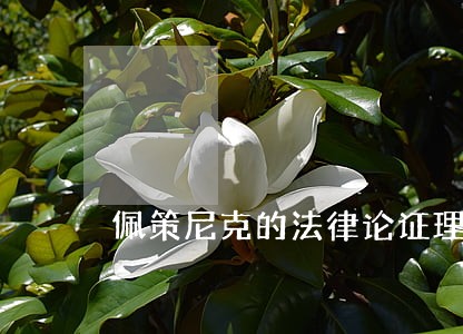 佩策尼克的法律论证理论 佩策尼克的法律论证理论