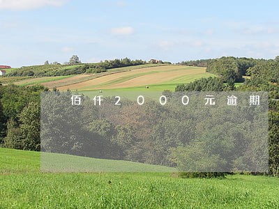 佰仟2000元逾期一年半 佰仟2000元逾期一年半