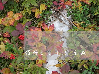 佰仟2015逾期 佰仟2015逾期