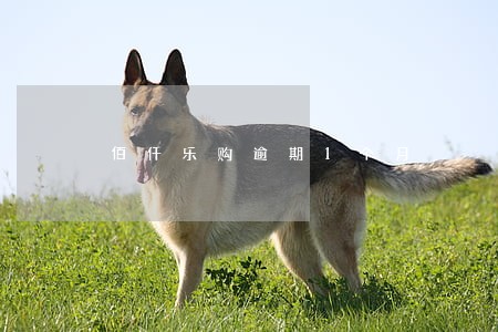 佰仟乐购逾期1个月 佰仟乐购逾期1个月