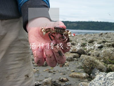 佰仟借钱只还本金 佰仟借钱只还本金